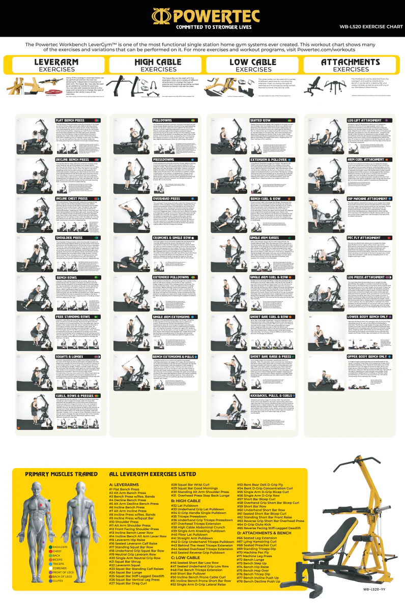 Poster - Workbench Levergym - Image 2